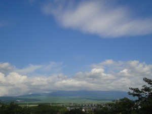 DSC04993