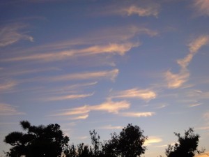 DSC05174