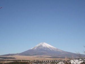 DSCF0241
