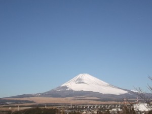 DSCF0258