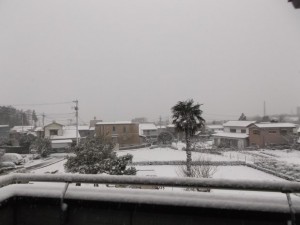 DSCF0475