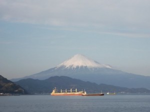 DSCF0528