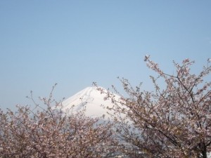 DSCF0559
