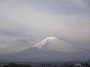 DSCF0566