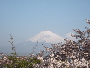 DSCF0615