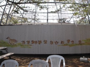 DSCF0617