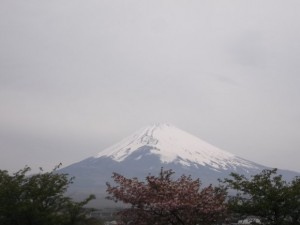 DSCF0639