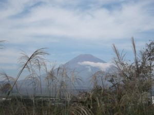 DSCF0888