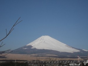 DSCF1237