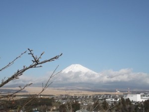 DSCF1315