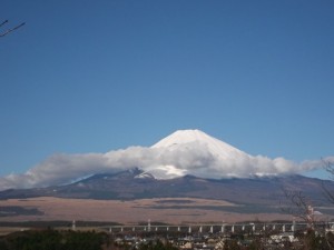 DSCF1986